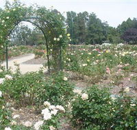 Victoria Park Rose Garden - Accommodation Port Macquarie