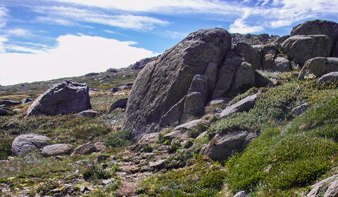 Mount Stillwell Walk - Accommodation Port Macquarie 0