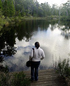 Boonoo Boonoo Falls National Park - Accommodation Port Macquarie 1