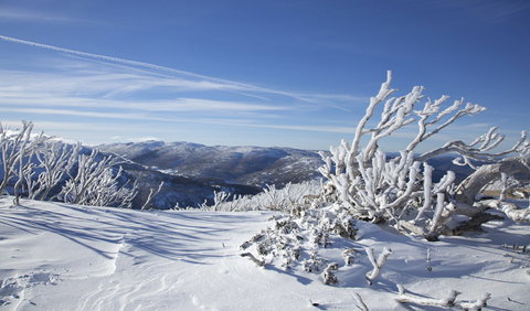 Rock Creek Snowshoe Track - Accommodation Port Macquarie 0