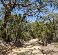 Howes trail - Accommodation Port Macquarie