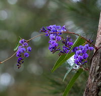 Mann River Nature Reserve - Accommodation Port Macquarie