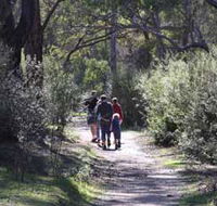 Syd's Rapids and Aboriginal Heritage Trail Avon Valley - Accommodation Port Macquarie