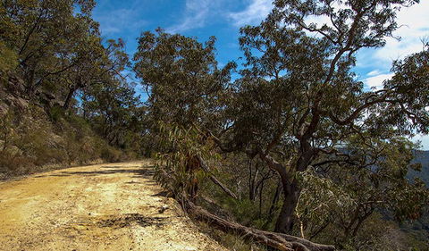 Parr State Conservation Area - Accommodation Port Macquarie 0