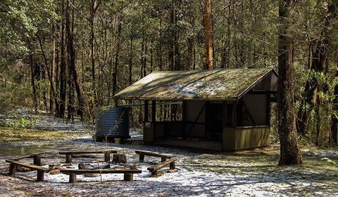Parr State Conservation Area - Accommodation Port Macquarie 1