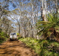 Barrington trail - Accommodation Port Macquarie
