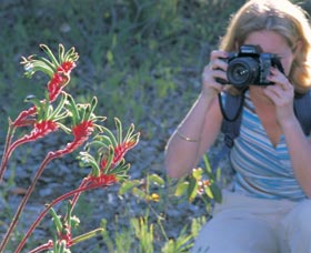 Kalamunda National Park - Accommodation Port Macquarie 1