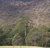Bangadilly National Park - Accommodation Port Macquarie