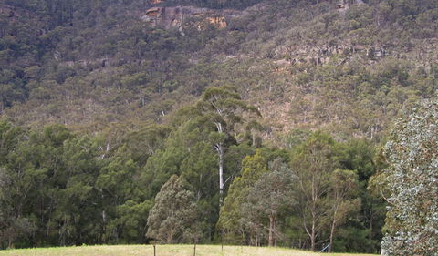 Bangadilly National Park - Accommodation Port Macquarie 0