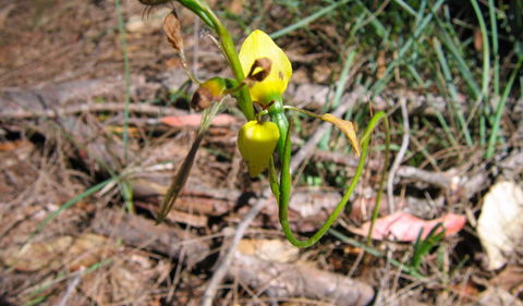 Bangadilly National Park - Accommodation Port Macquarie 2