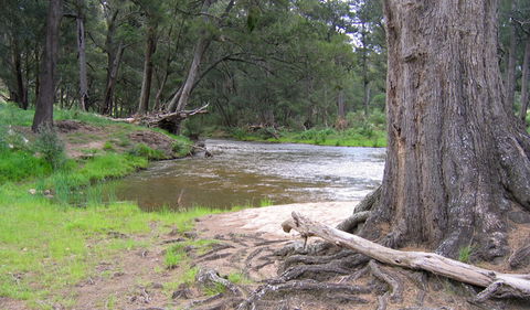 Bangadilly National Park - Accommodation Port Macquarie 3