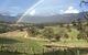 Dryridge Estate - thumb 4
