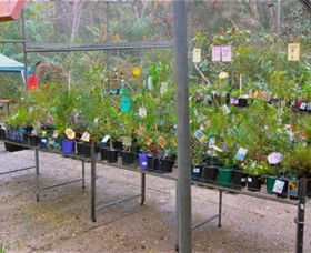 Glenbrook Native Plant Reserve And Nursery - Accommodation Port Macquarie 3