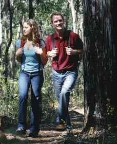 Bibbulmun Track - Accommodation Port Macquarie 1