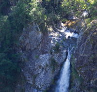 Lyrebird Falls walking track - Accommodation Port Macquarie