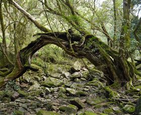 Mitchell River National Park - Accommodation Port Macquarie 0