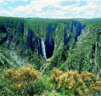 Wollomombi Falls - Accommodation Port Macquarie