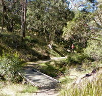 Wollomombi walking track - Accommodation Port Macquarie