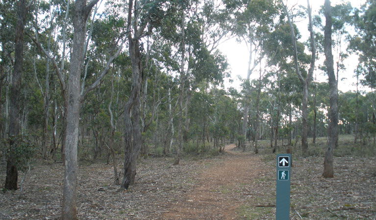  Accommodation Port Macquarie