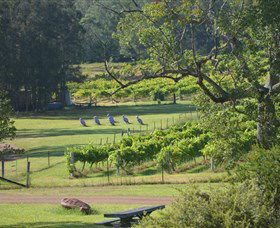 Wollombi Wines - Accommodation Port Macquarie 8