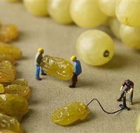 Hunter Valley Wine School - Accommodation Port Macquarie