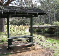 Barrington Tops State Forest - Accommodation Port Macquarie