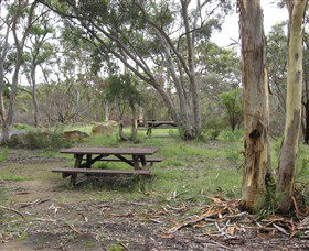 Box Vale Picnic Area - Accommodation Port Macquarie 2