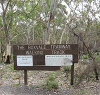 Box Vale Picnic Area - Accommodation Port Macquarie
