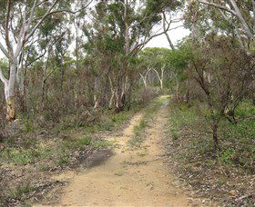 Box Vale Picnic Area - Accommodation Port Macquarie 4