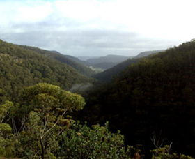 Nattai Gorge Lookout - Accommodation Port Macquarie 0