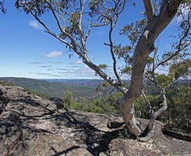 Nattai Gorge Lookout - Accommodation Port Macquarie 1