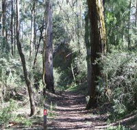 Box Vale Mine Walking Track and Lookout - Accommodation Port Macquarie