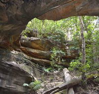 Cave Creek Walking Track - Accommodation Port Macquarie