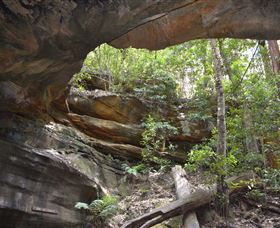 Cave Creek Walking Track - Accommodation Port Macquarie 0