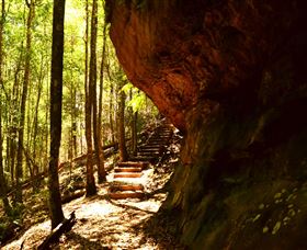 Cave Creek Walking Track - Accommodation Port Macquarie 1