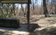 Cave Creek Walking Track - thumb 4