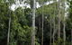 Pioneer Country Park - thumb 1