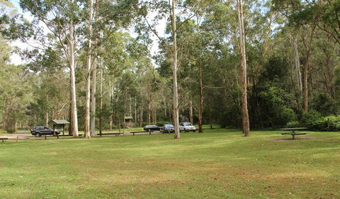 Mill Creek Picnic Area - Accommodation Port Macquarie 0