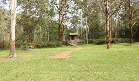 Mill Creek Picnic Area - Accommodation Port Macquarie 2