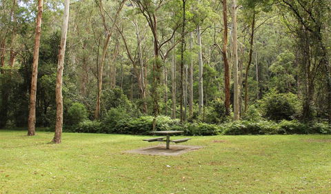 Mill Creek Picnic Area - Accommodation Port Macquarie 1