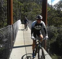 McGees Cycling Store - Accommodation Port Macquarie