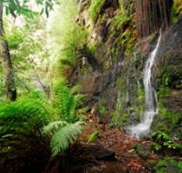 Fairy Bower Falls - Accommodation Port Macquarie