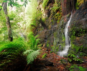 Fairy Bower Falls - Accommodation Port Macquarie 0
