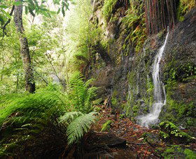 Fairy Bower Falls - Accommodation Port Macquarie 2