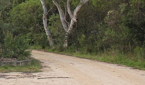 Riverview Walking Track - Accommodation Port Macquarie 0