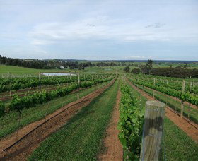 Razorback Ridge Wines - Accommodation Port Macquarie 1
