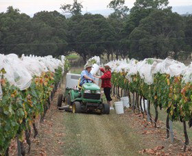 Razorback Ridge Wines - Accommodation Port Macquarie 7