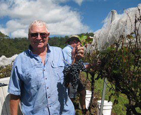 Razorback Ridge Wines - Accommodation Port Macquarie 8