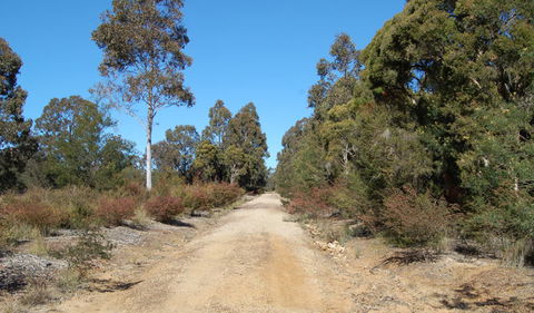 Werakata National Park - Accommodation Port Macquarie 0