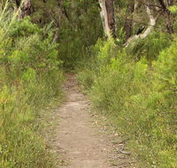 Three Views walking track - Accommodation Port Macquarie